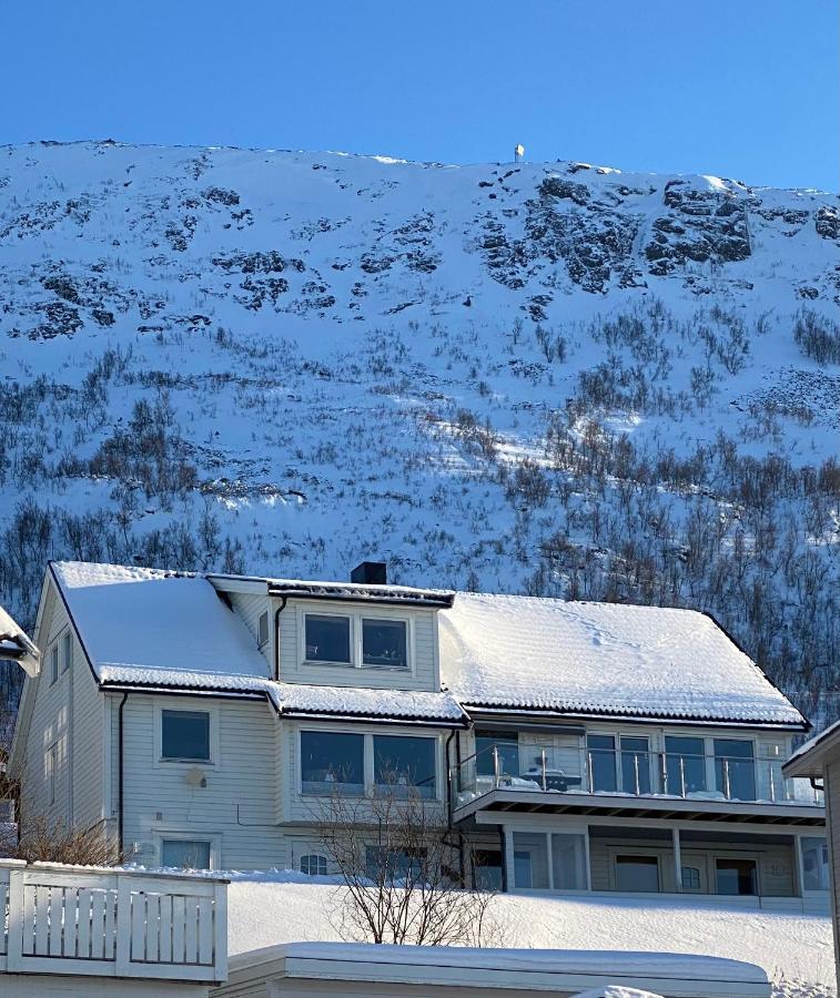 Appartement Polar Arctic View - Free Parking! à Tromsø Extérieur photo