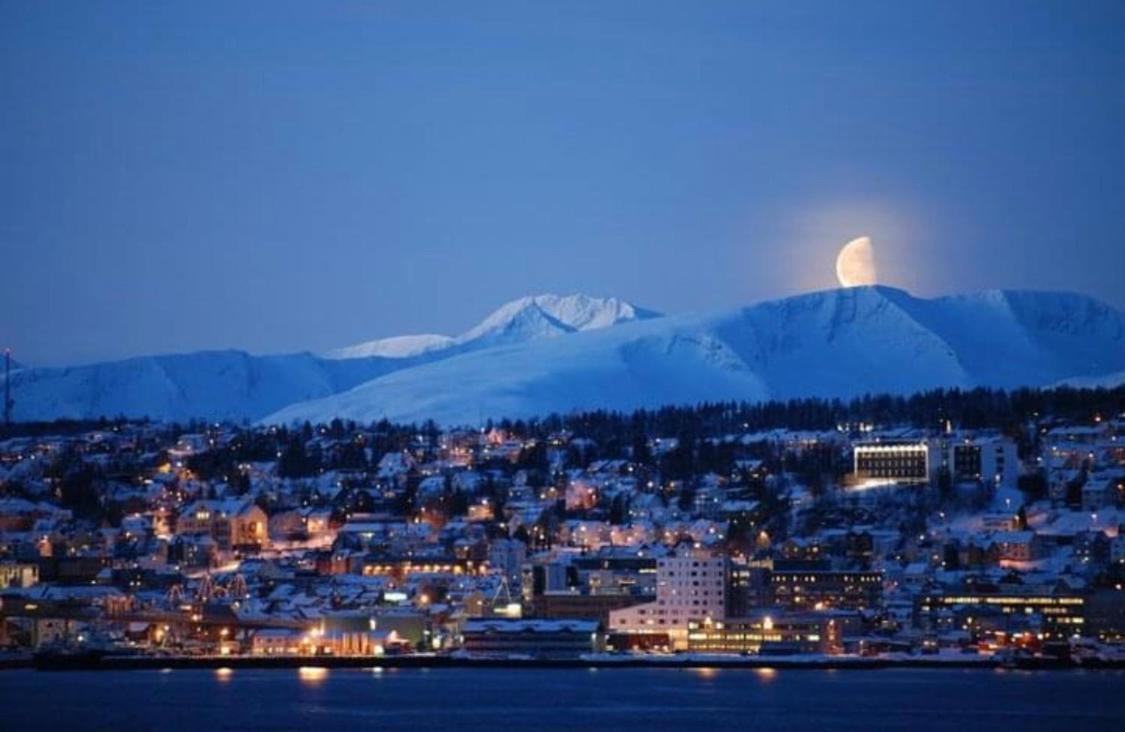 Appartement Polar Arctic View - Free Parking! à Tromsø Extérieur photo